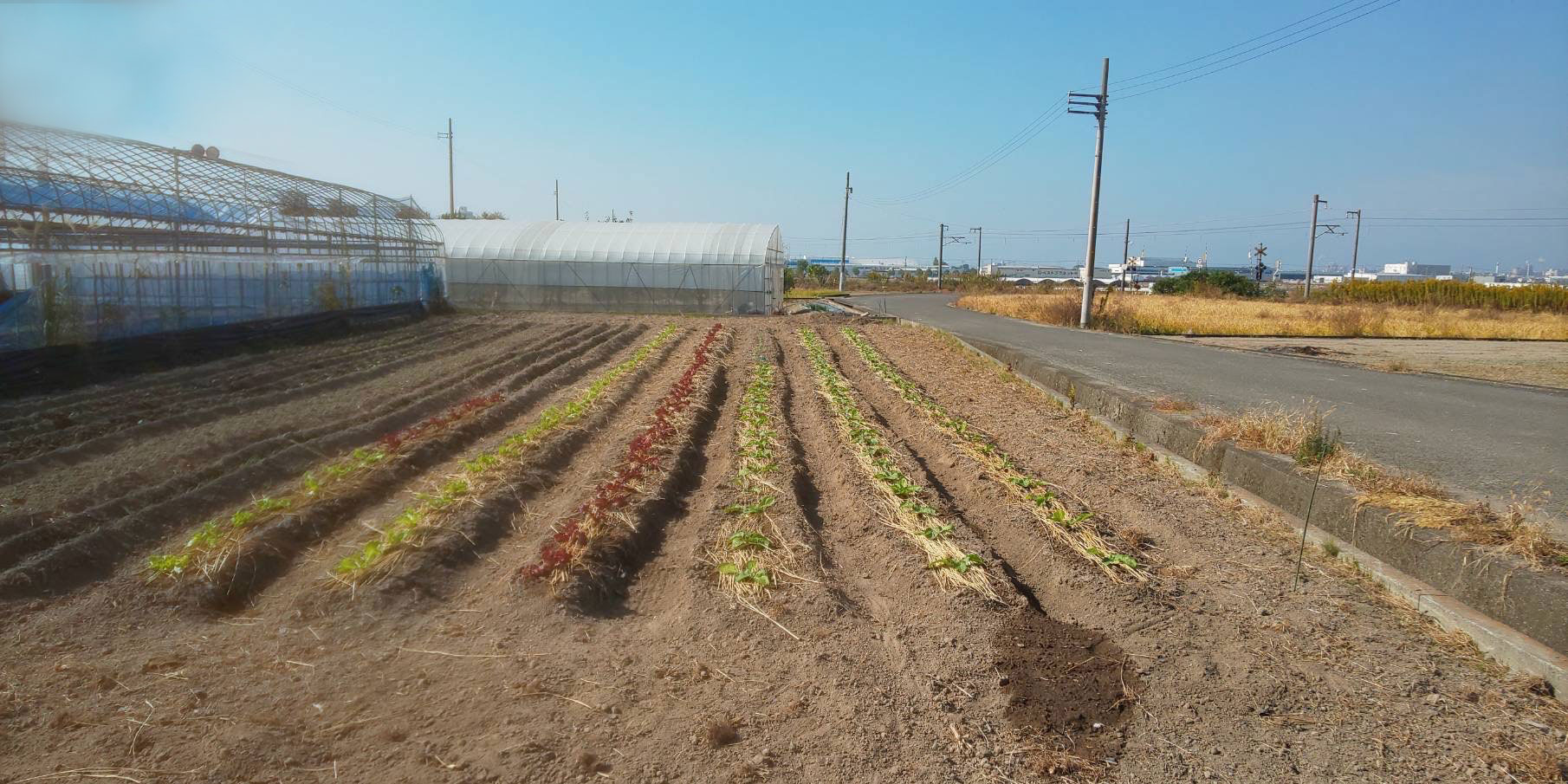 農業・無人テナント