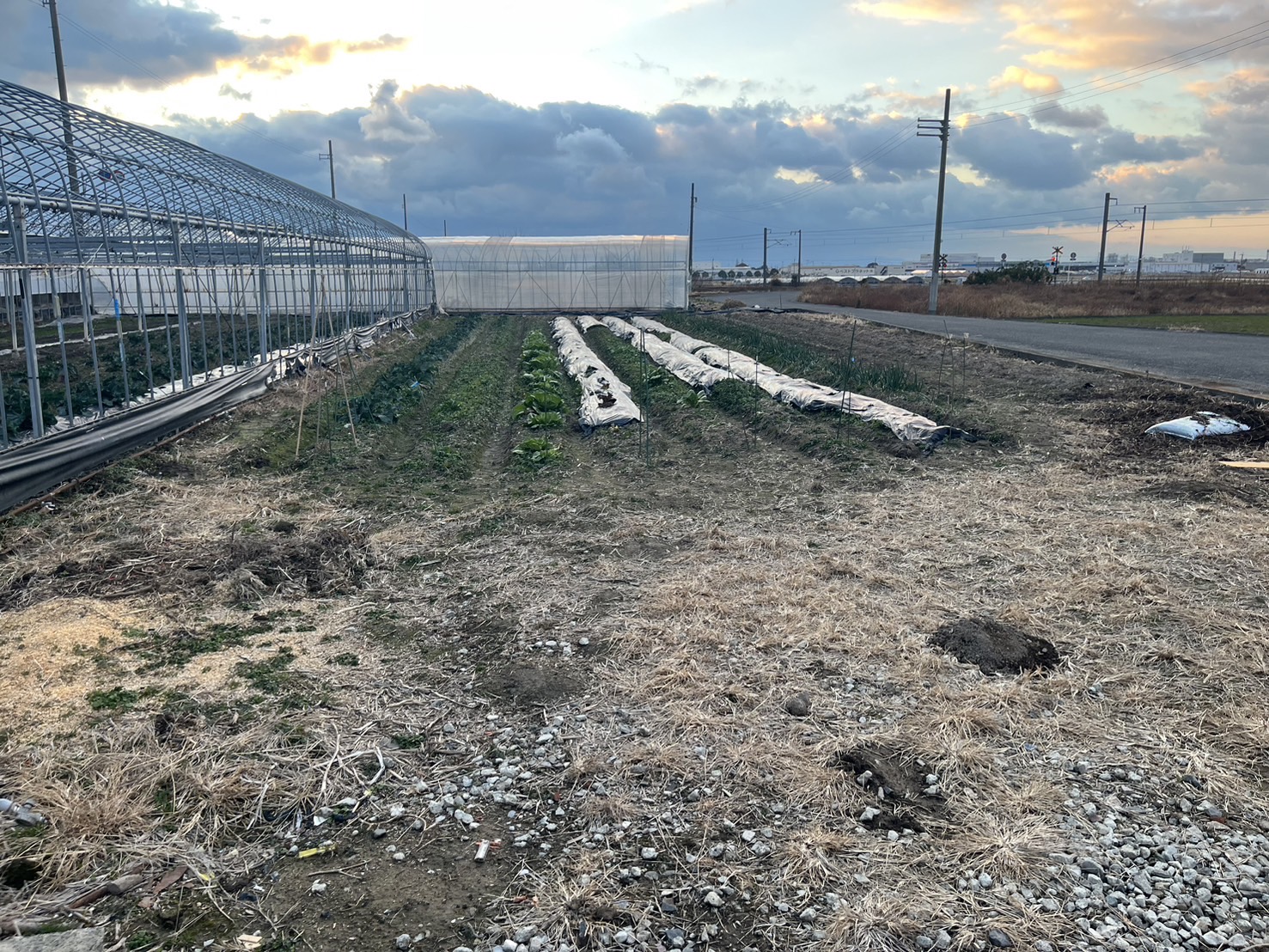 農業・無人テナント